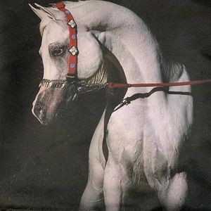 Meet your Posher, Khaled